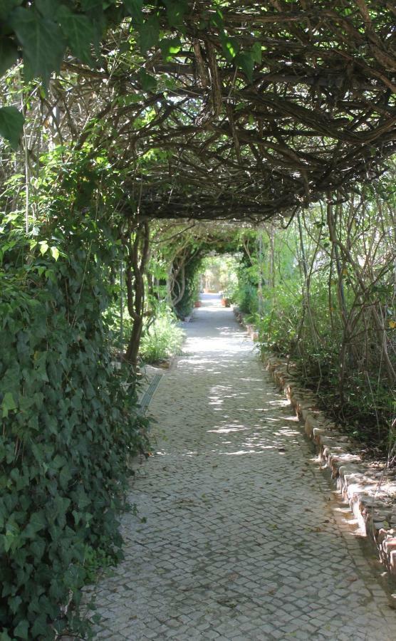Canavial Garden (Adults Only) ラゴス エクステリア 写真